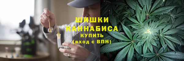 тгк Михайлов