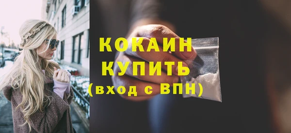 тгк Михайлов