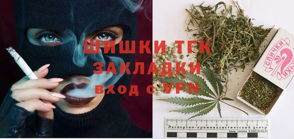 тгк Михайлов