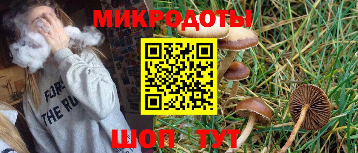Псилоцибиновые грибы Magic Shrooms  Курганинск 