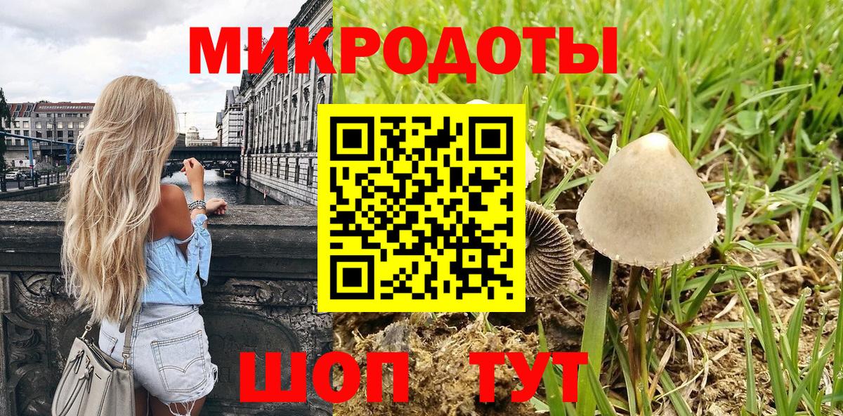 Галлюциногенные грибы Magic Shrooms Курганинск