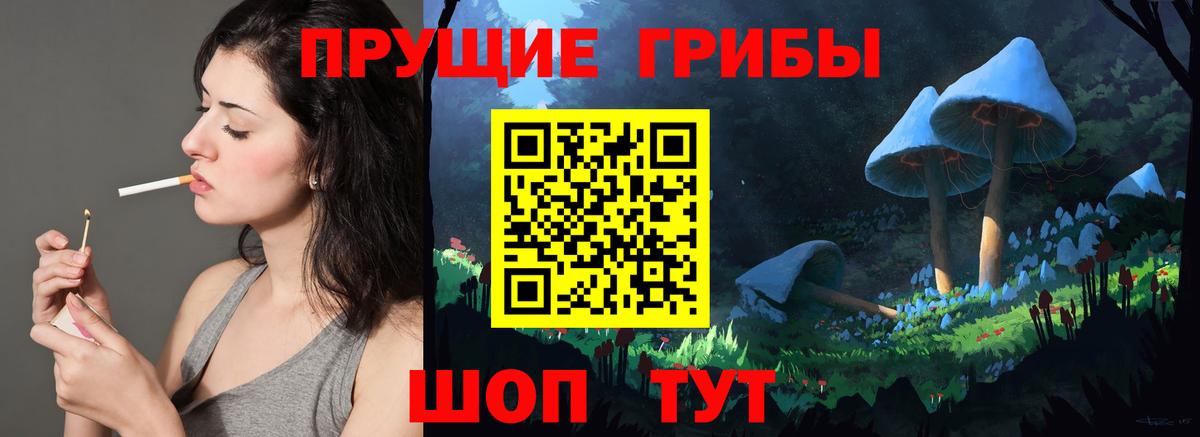 Псилоцибиновые грибы прущие грибы Курганинск