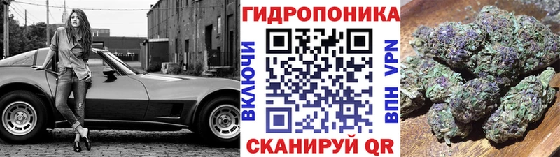 Каннабис гибрид Курганинск
